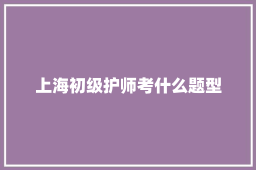 上海初级护师考什么题型