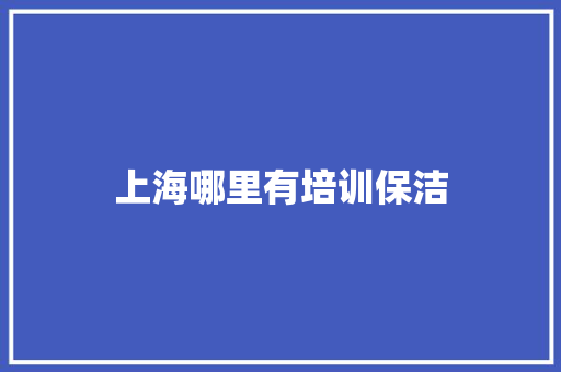 上海哪里有培训保洁