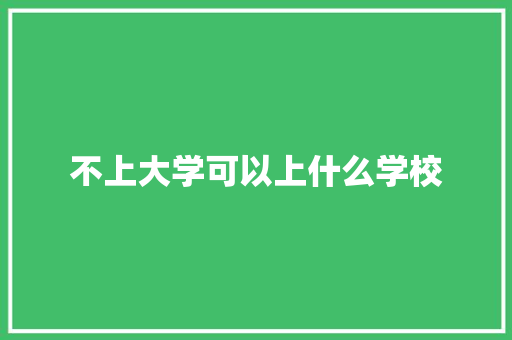 不上大学可以上什么学校