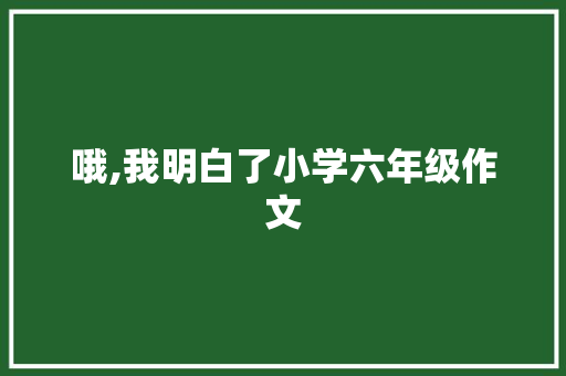 哦,我明白了小学六年级作文 简历模板