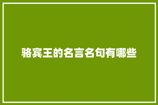 骆宾王的名言名句有哪些
