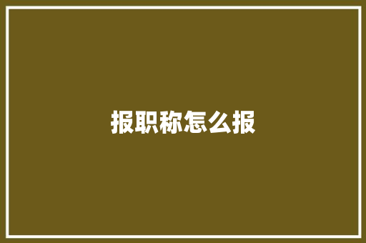 报职称怎么报