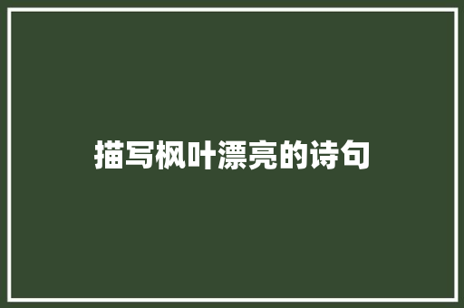描写枫叶漂亮的诗句