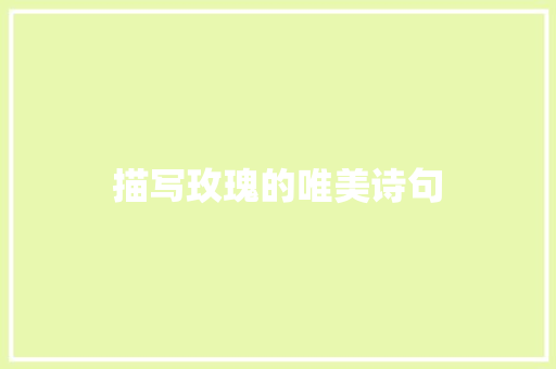 描写玫瑰的唯美诗句