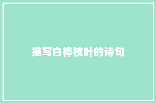 描写白桦枝叶的诗句