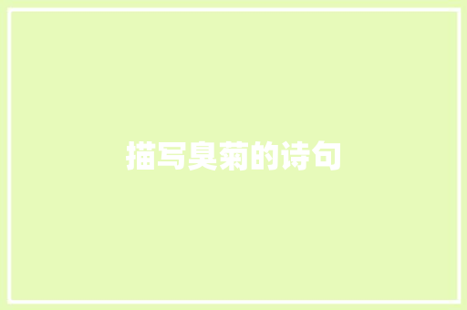描写臭菊的诗句