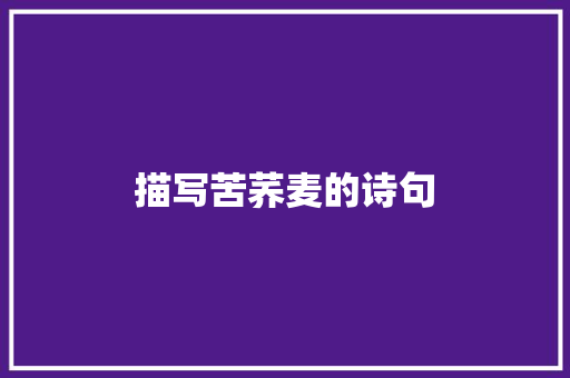 描写苦荞麦的诗句
