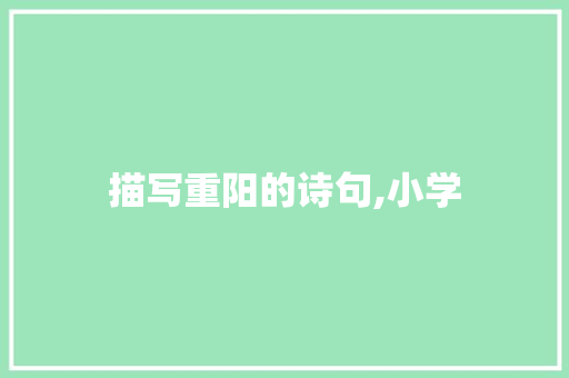描写重阳的诗句,小学