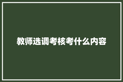 教师选调考核考什么内容