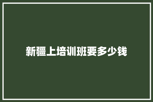 新疆上培训班要多少钱