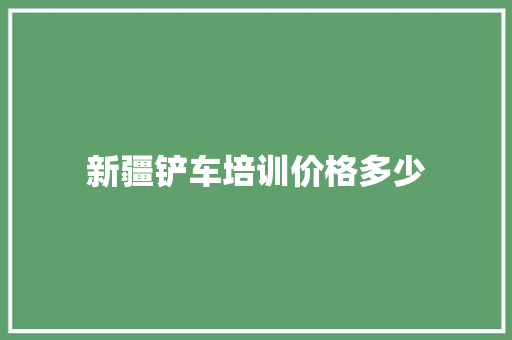 新疆铲车培训价格多少