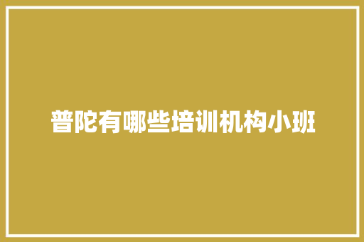 普陀有哪些培训机构小班