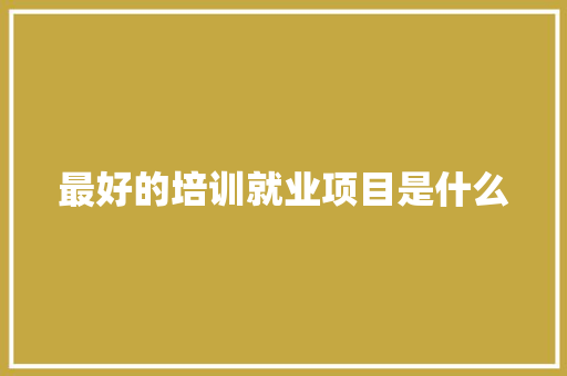 最好的培训就业项目是什么