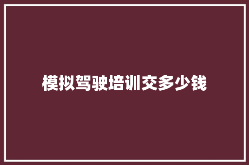模拟驾驶培训交多少钱