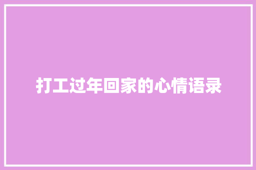 打工过年回家的心情语录