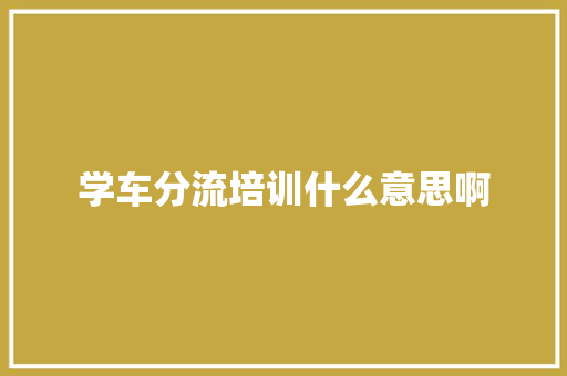 学车分流培训什么意思啊