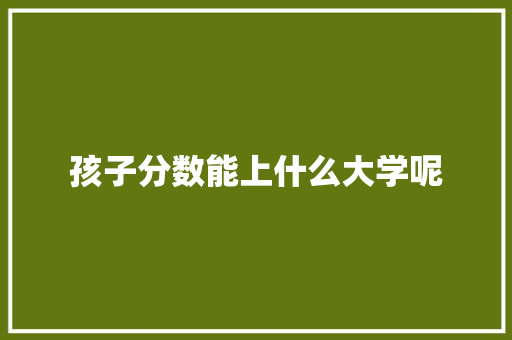孩子分数能上什么大学呢