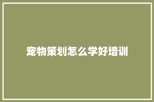 宠物策划怎么学好培训