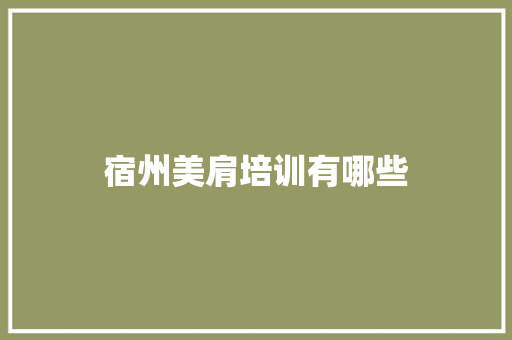 宿州美肩培训有哪些