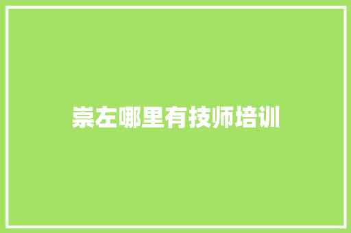 崇左哪里有技师培训