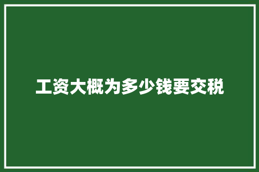 工资大概为多少钱要交税