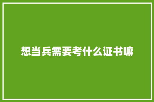 想当兵需要考什么证书嘛