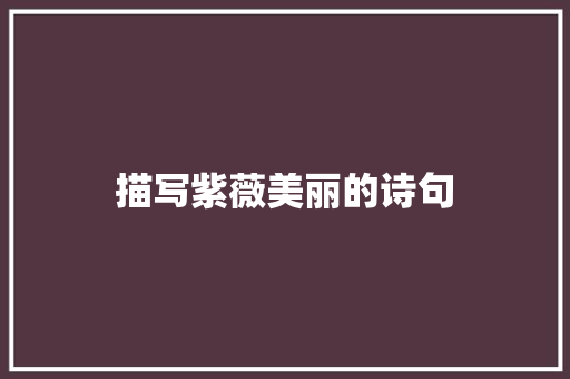描写紫薇美丽的诗句