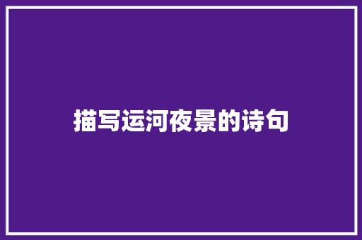 描写运河夜景的诗句
