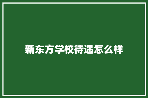 新东方学校待遇怎么样