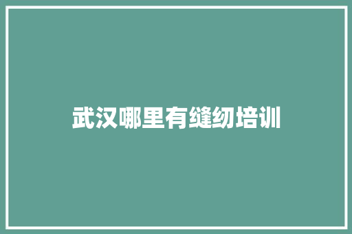 武汉哪里有缝纫培训