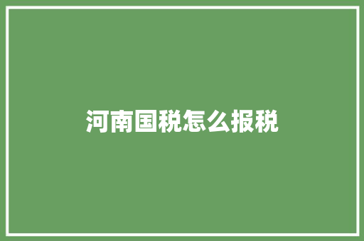 河南国税怎么报税