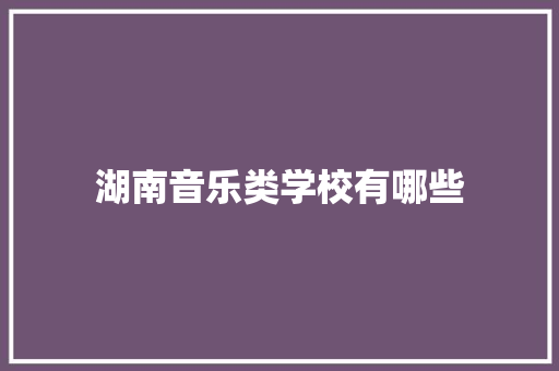 湖南音乐类学校有哪些