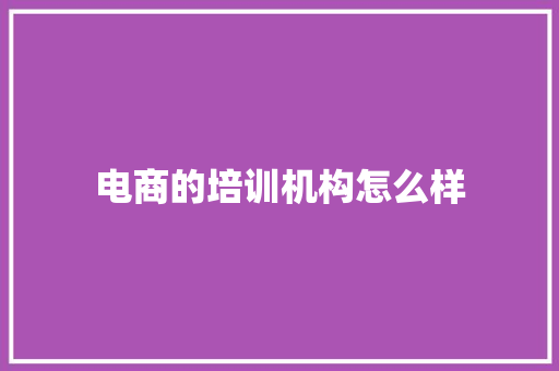 电商的培训机构怎么样 写作技巧