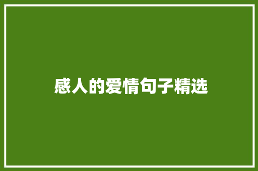  感人的爱情句子精选 词汇积累