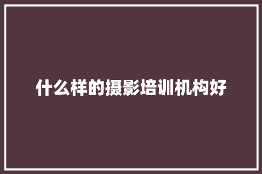 什么样的摄影培训机构好