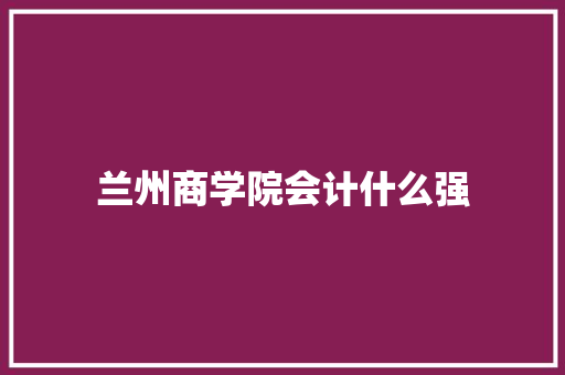 兰州商学院会计什么强