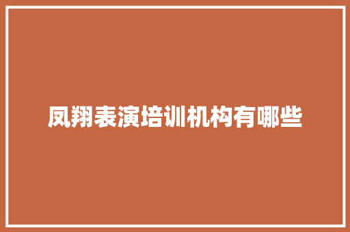 凤翔表演培训机构有哪些