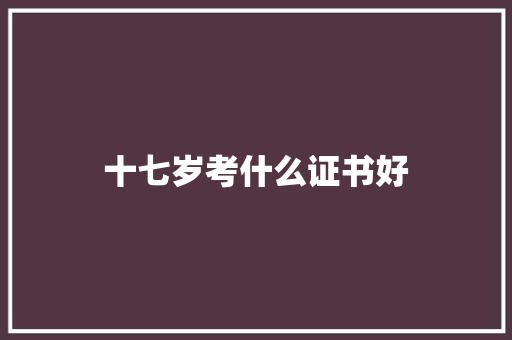 十七岁考什么证书好