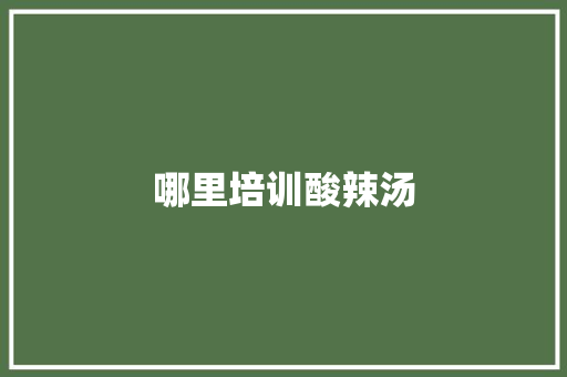 哪里培训酸辣汤