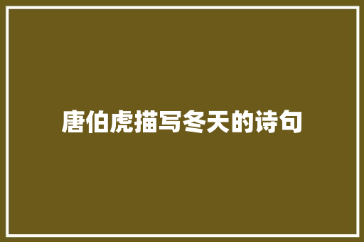 唐伯虎描写冬天的诗句