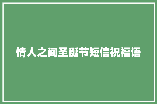 情人之间圣诞节短信祝福语