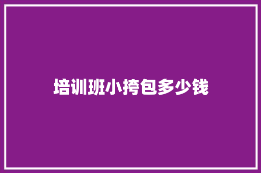 培训班小挎包多少钱