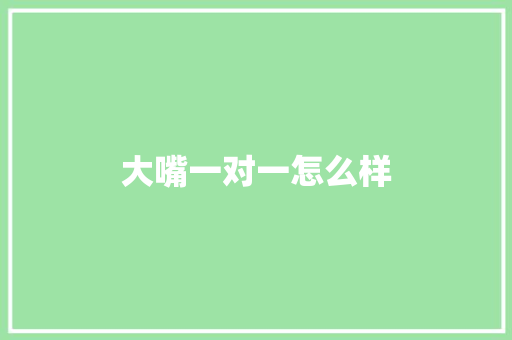 大嘴一对一怎么样