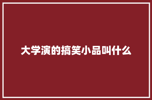 大学演的搞笑小品叫什么
