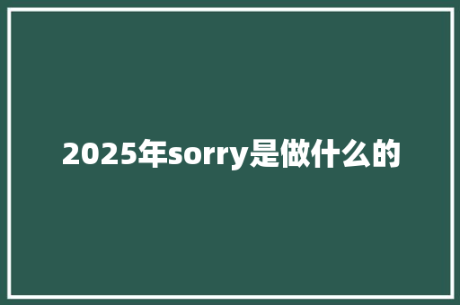 2025年sorry是做什么的
