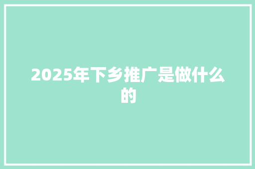 2025年下乡推广是做什么的