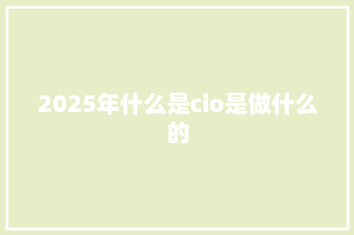 2025年什么是cio是做什么的