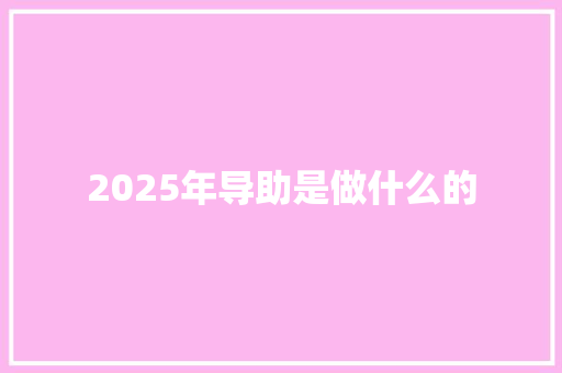 2025年导助是做什么的