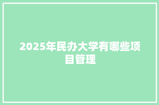 2025年民办大学有哪些项目管理