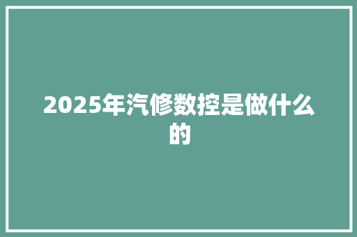 2025年汽修数控是做什么的